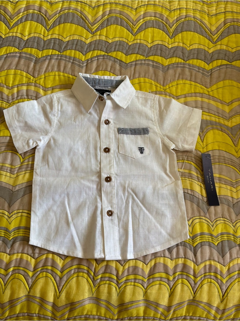 Tahari Boy White Short-Sleeve Button-Down Shirt with Blue Trim | NWT